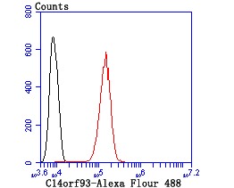 verifiedActivity