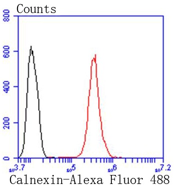 verifiedActivity