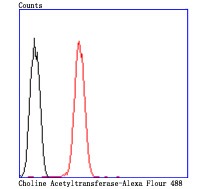 verifiedActivity