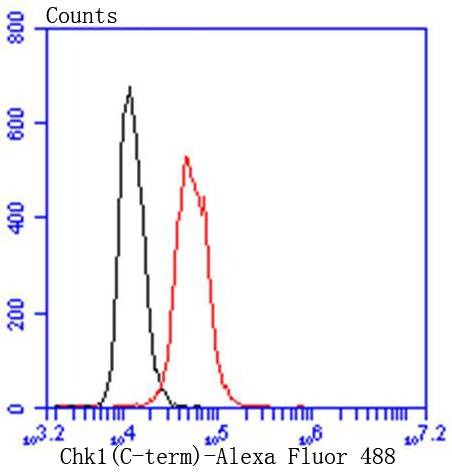 verifiedActivity