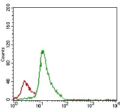verifiedActivity