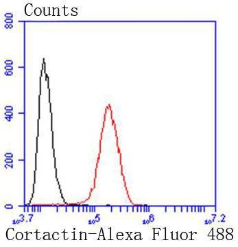 verifiedActivity