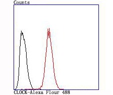 verifiedActivity