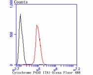 verifiedActivity