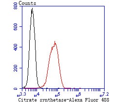verifiedActivity