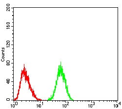 verifiedActivity
