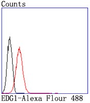 verifiedActivity