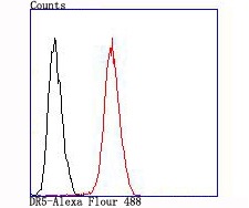 verifiedActivity