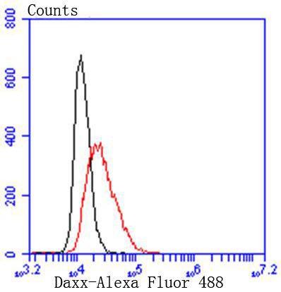 verifiedActivity