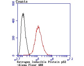 verifiedActivity