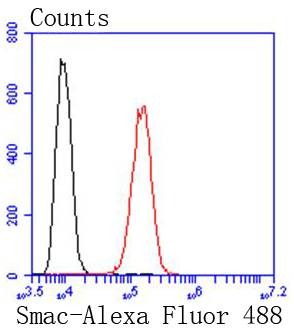 verifiedActivity