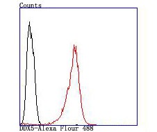 verifiedActivity