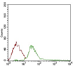 verifiedActivity