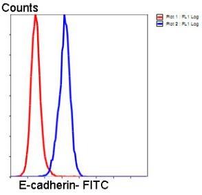 verifiedActivity