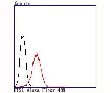 verifiedActivity