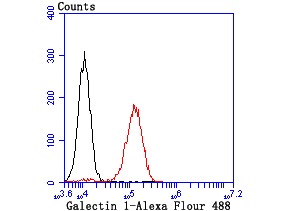 verifiedActivity