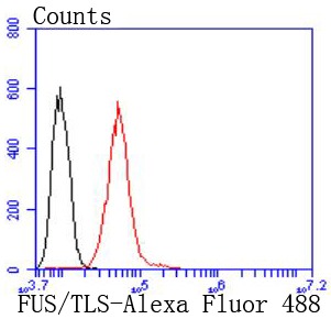 verifiedActivity