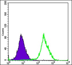 verifiedActivity