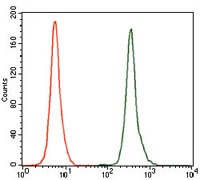 verifiedActivity