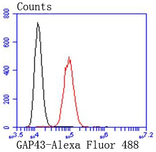 verifiedActivity