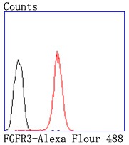 verifiedActivity