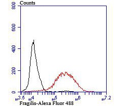 verifiedActivity