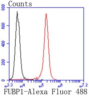 verifiedActivity