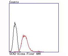 verifiedActivity