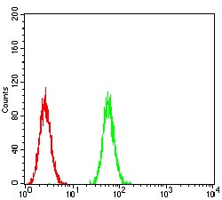verifiedActivity