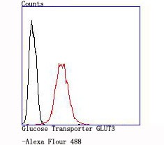 verifiedActivity