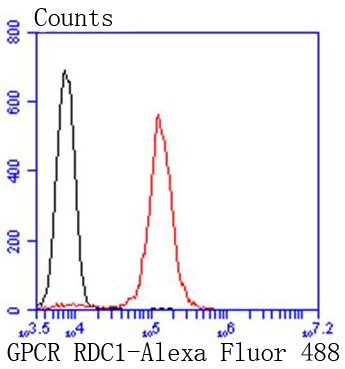 verifiedActivity