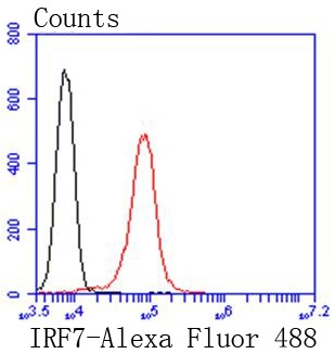 verifiedActivity
