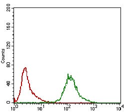 verifiedActivity