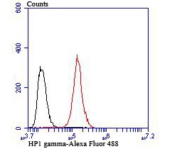 verifiedActivity
