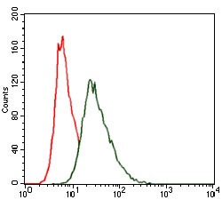 verifiedActivity