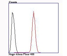 verifiedActivity