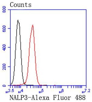 verifiedActivity