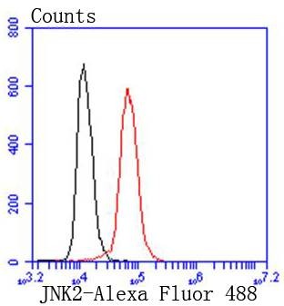 verifiedActivity