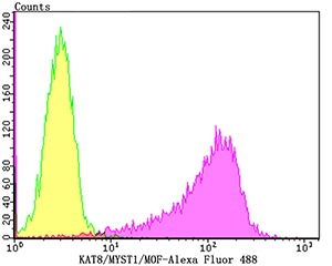 verifiedActivity