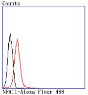 verifiedActivity
