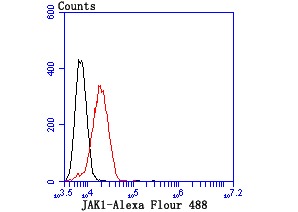 verifiedActivity