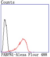 verifiedActivity