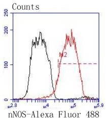 verifiedActivity