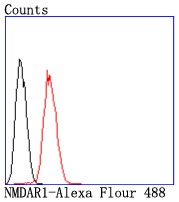 verifiedActivity