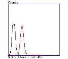 verifiedActivity