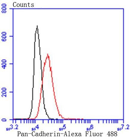 verifiedActivity