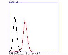 verifiedActivity