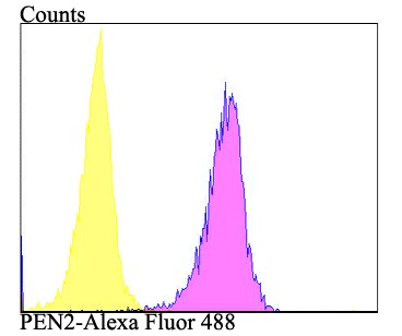 verifiedActivity