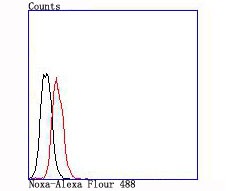 verifiedActivity