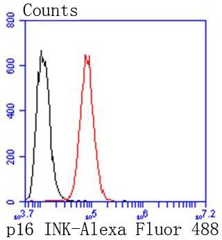 verifiedActivity